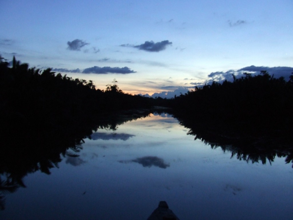 The Sekonyer River at dusk